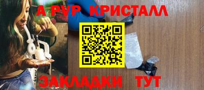 прущие грибы Малгобек