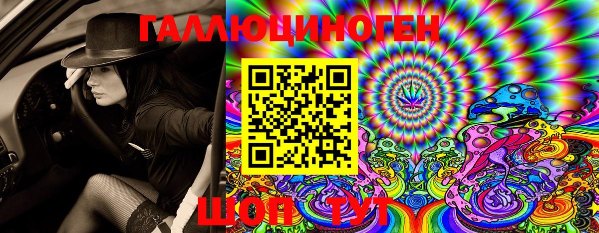 Псилоцибиновые грибы мухоморы Арсеньев